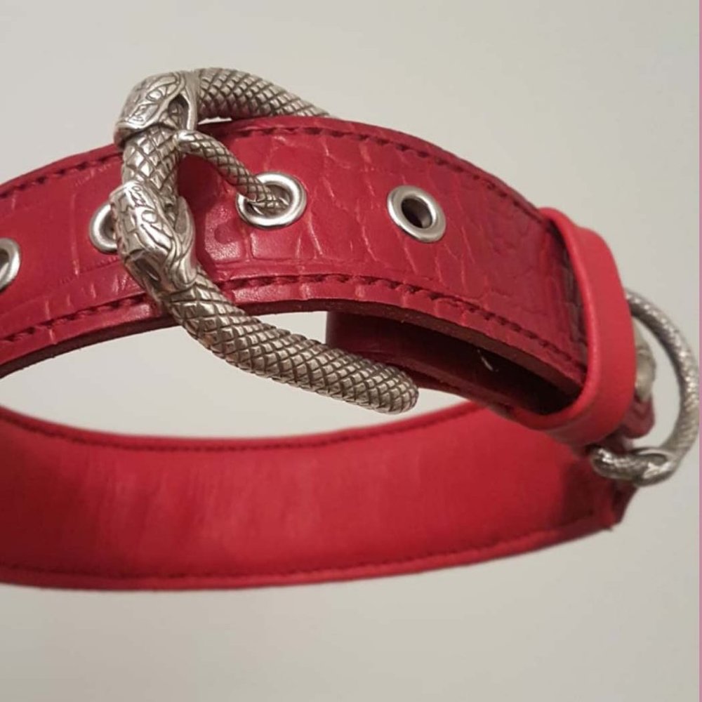 Custom Pet Collars - Picture 6 of 8